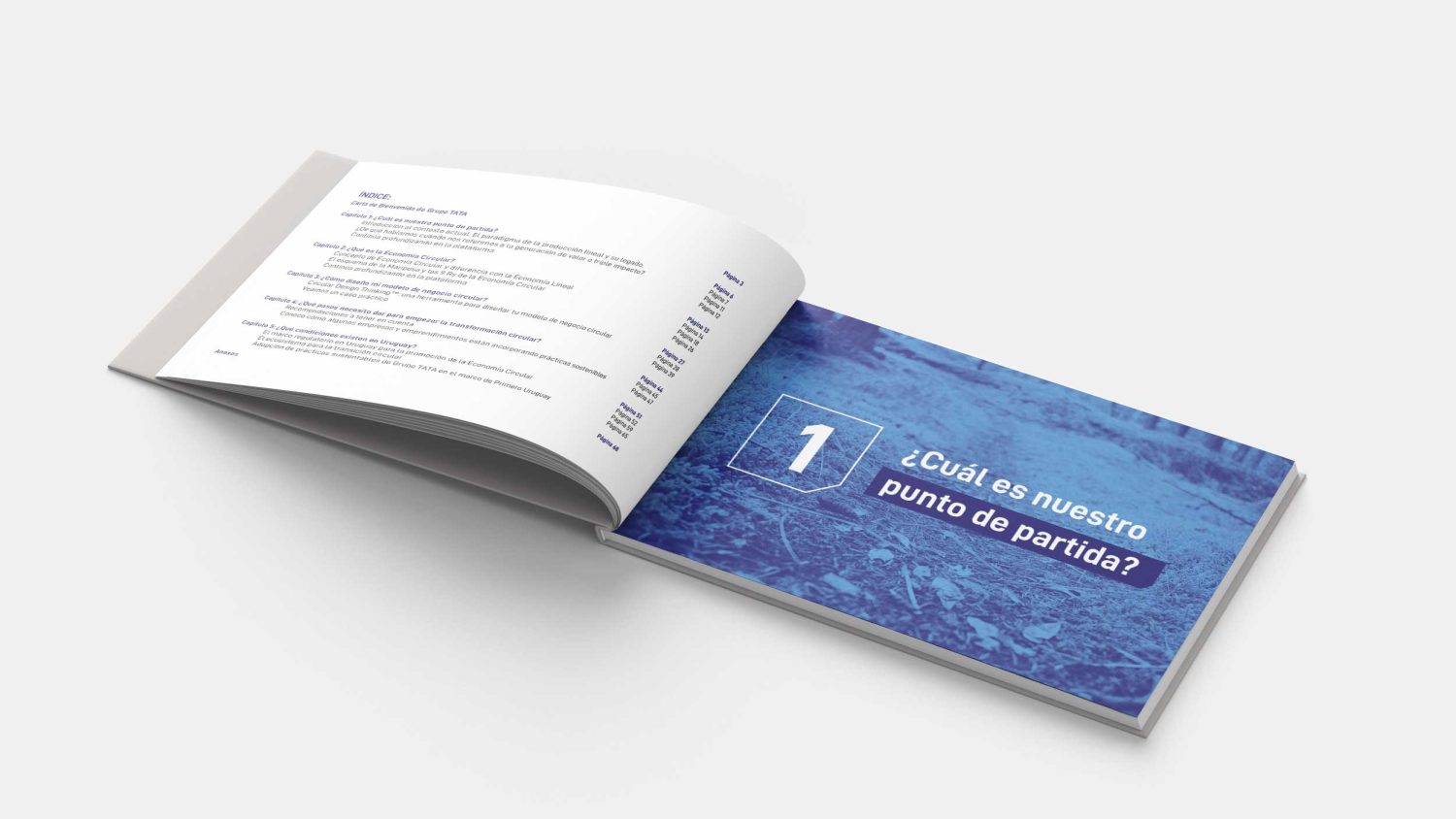 Horizontal_Book_Mockup_2-b