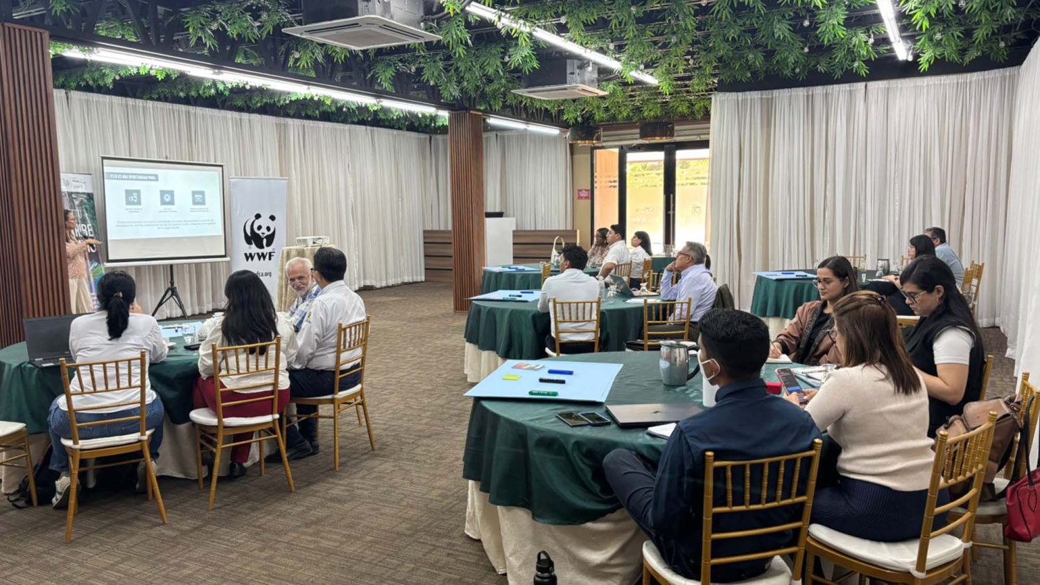 wwf-caribe-limpio_10